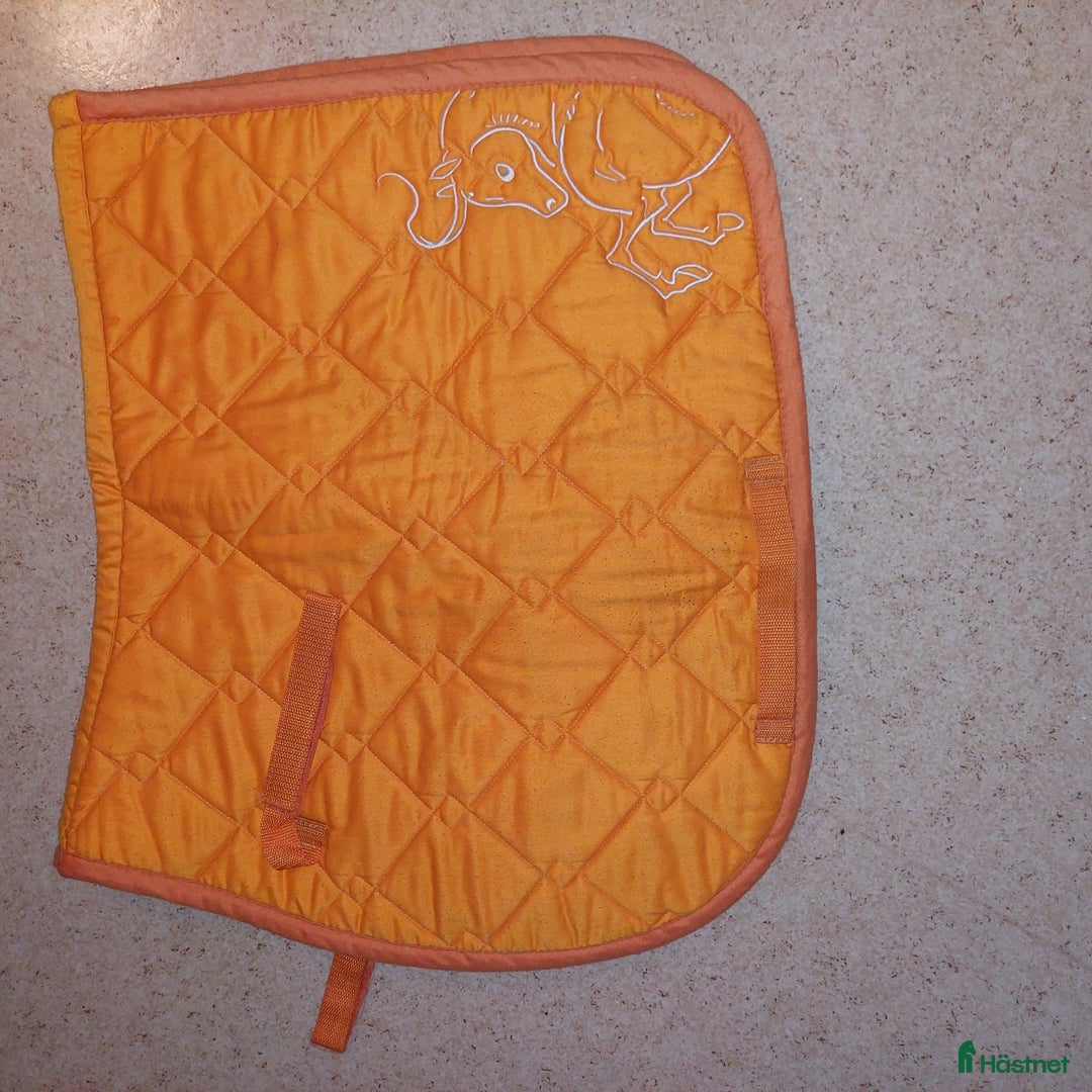 Schabrak & Vojlockar hästutrustning till salu: Schabrak i Veddige - Annons 1