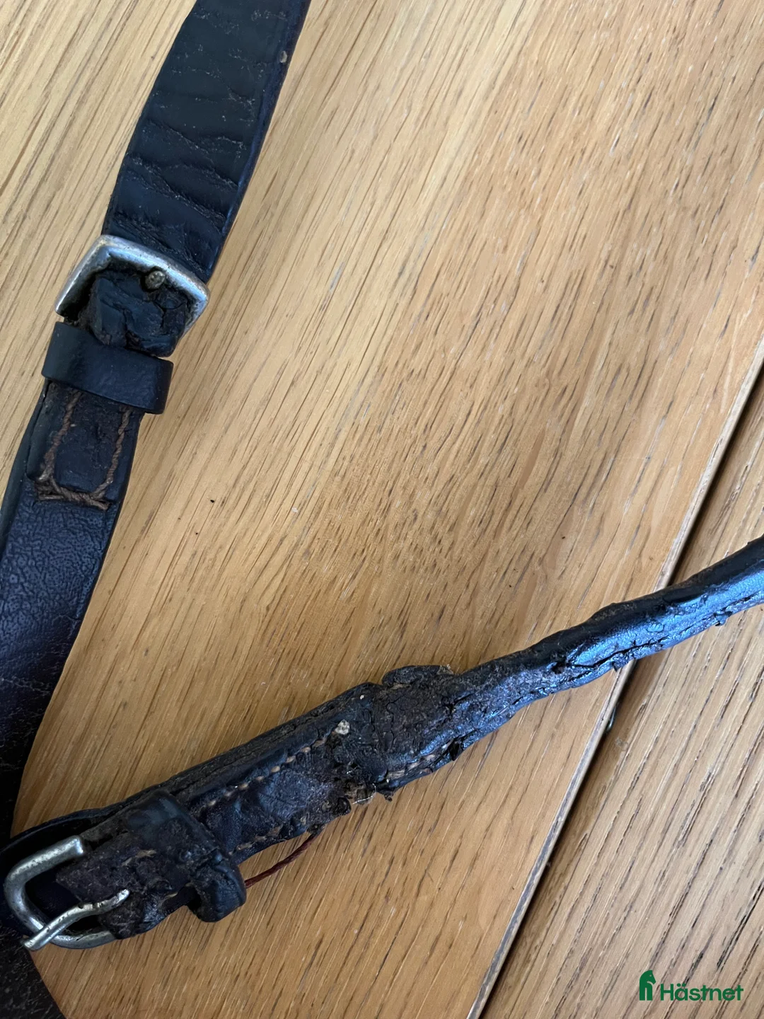 Träns hästutrustning till salu: Gammalt kandar i Västerås - Annons 3