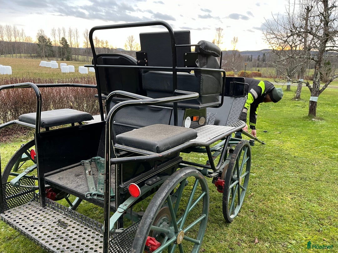 Körvagnar körning till salu: Maratonvagn storhäst i Västra Ämtervik - Annons 8