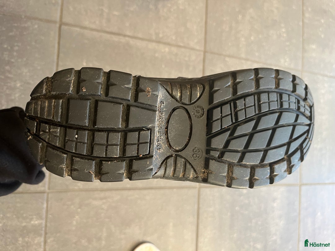 Ridstövlar ryttarutrustning till salu: Jodhpur med stålhetta från Crw - Annons 4