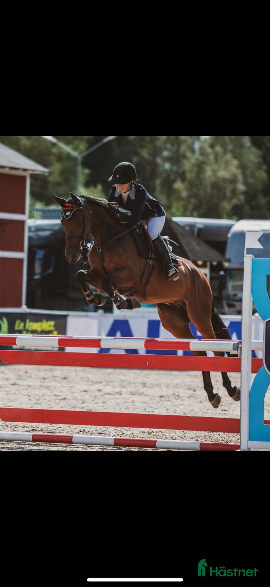  hästservice finnes: Plats för utbildning och träning av hästar i Allerum - Annons 2