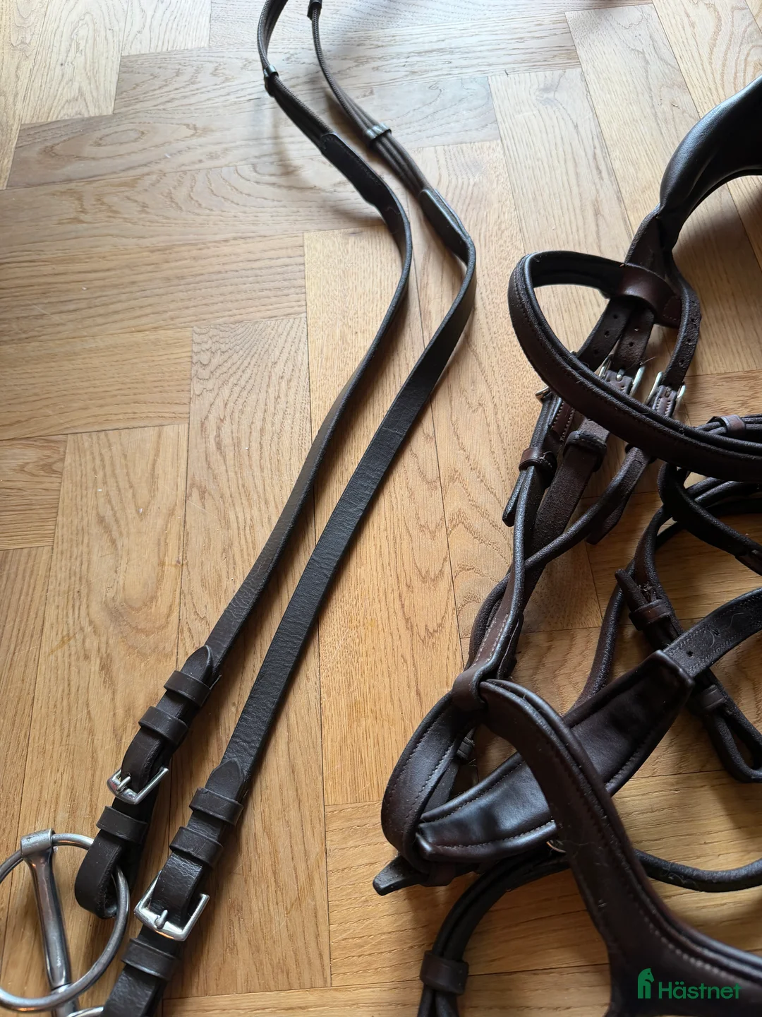 Träns hästutrustning till salu: Antares Signature Precision - Y-nosgrimma - Annons 7