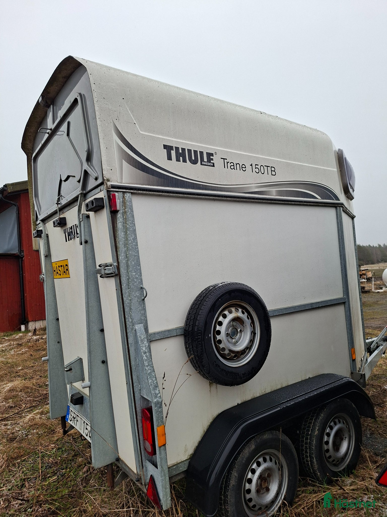 Hästtransporter  fordon & transport till salu: Hästtransport Thule - hög lastvikt - Annons 17