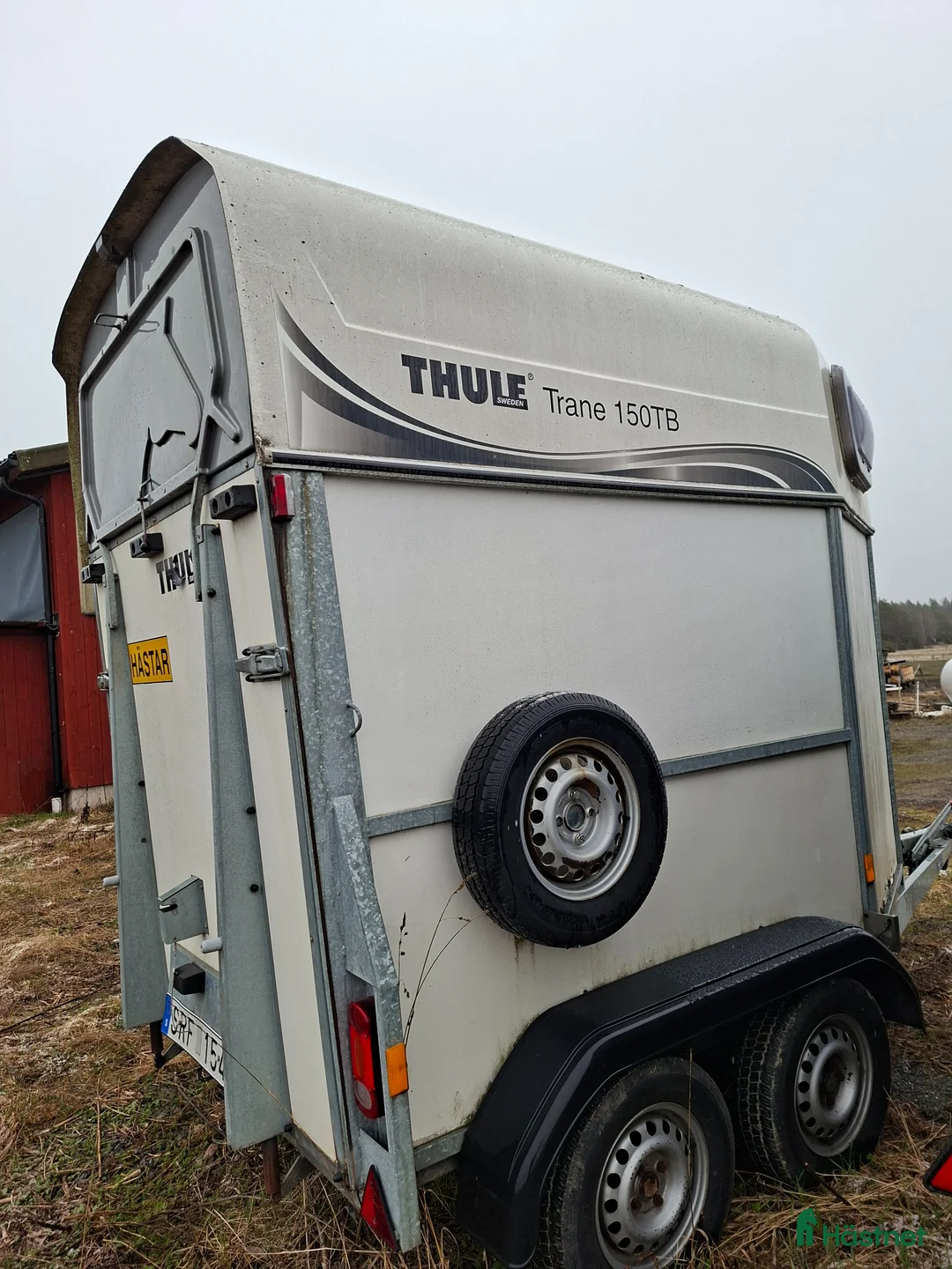 Hästtransporter  fordon & transport till salu: Hästtransport Thule - hög lastvikt i Rimbo - Annons 1