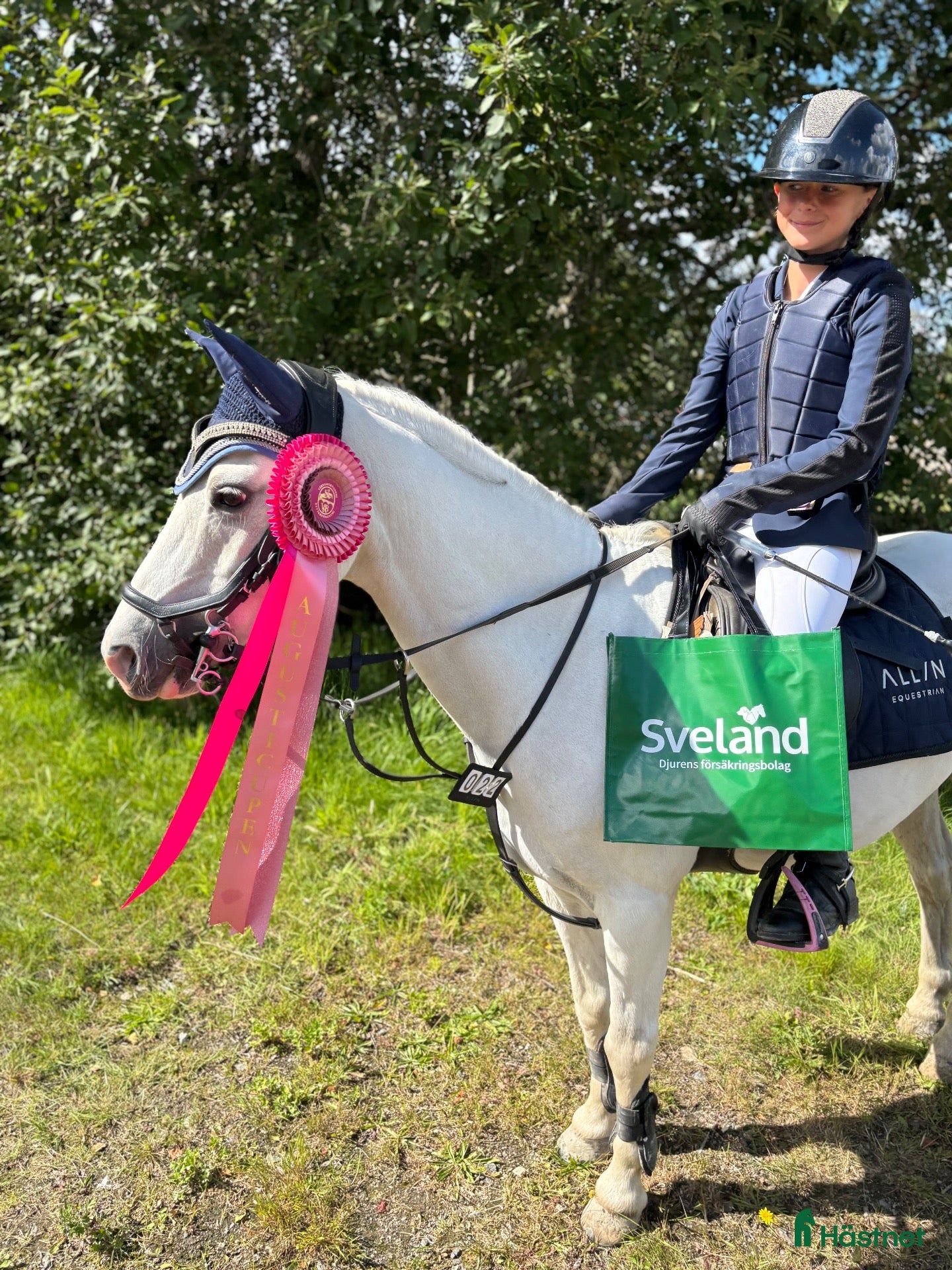  hästar Läromästare med utstrålning - Annons 15