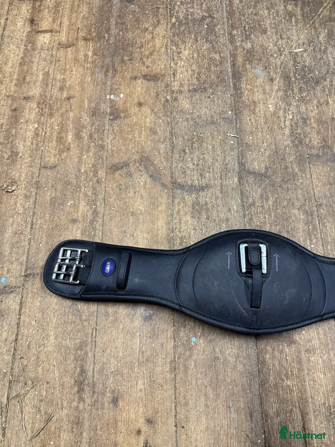 Övrig Hästutrustning hästutrustning till salu: Fynda billigt i Tungelsta - Annons 11