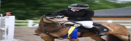 Hoppning hästar till salu: C-ponny med extra allt 🤩 - Annons 7