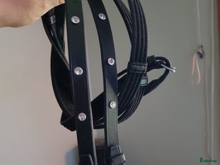 Övrig Hästutrustning hästutrustning till salu: Vävribbstygel full i Timrå - Annons 19