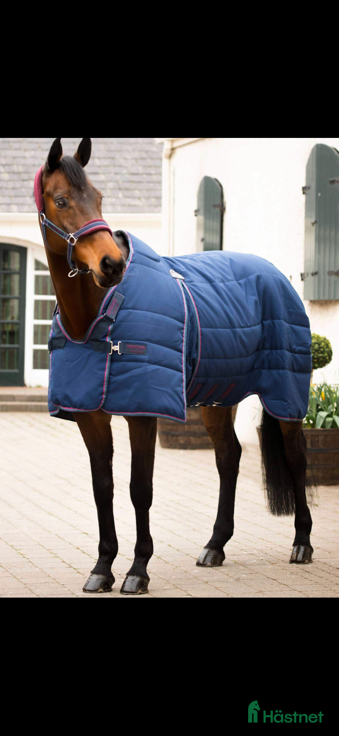 Övrig Hästutrustning hästutrustning Massa utrustning  i Björklinge - Annons 1