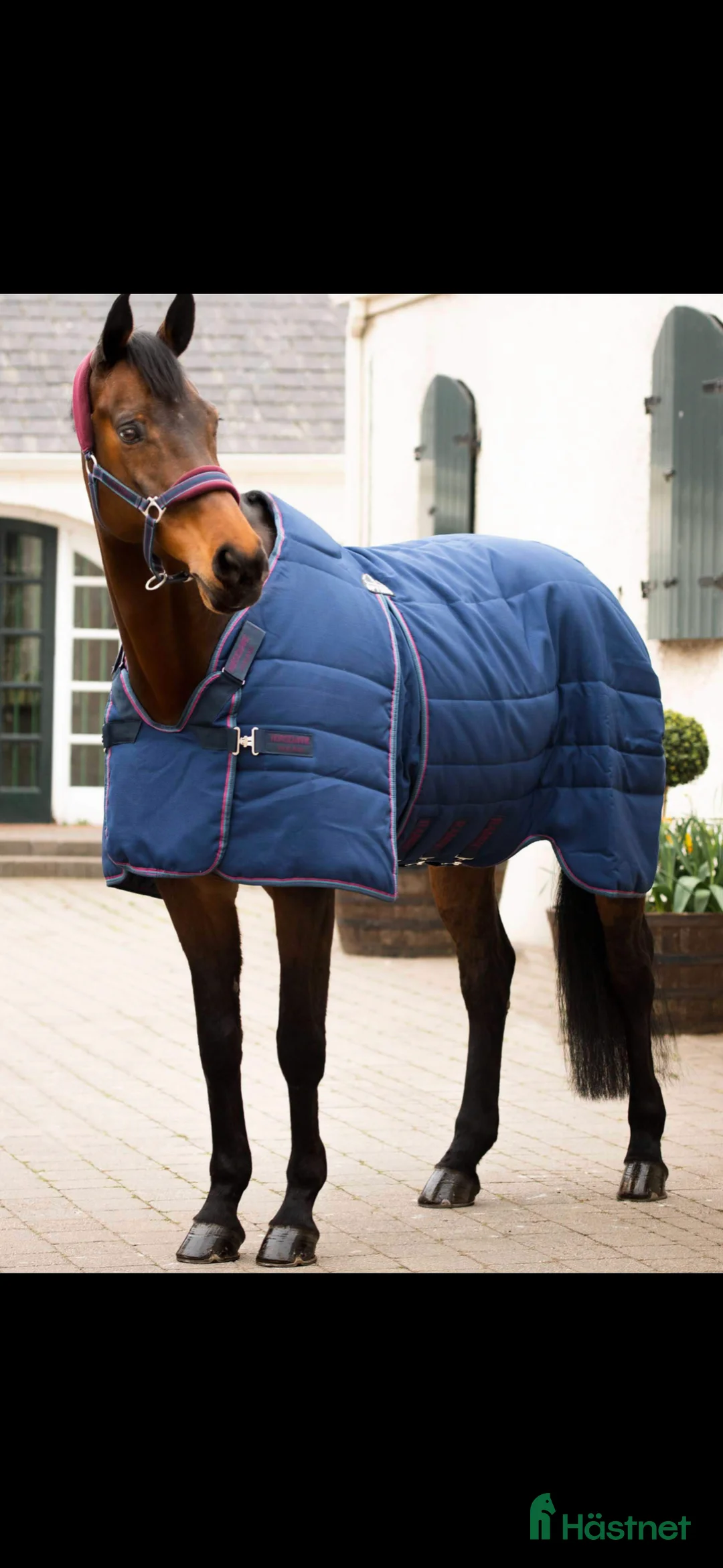 Övrig Hästutrustning hästutrustning till salu: Massa utrustning  i Björklinge - Annons 1