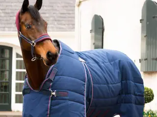 Övrig Hästutrustning hästutrustning Massa utrustning i Björklinge - Annons 1