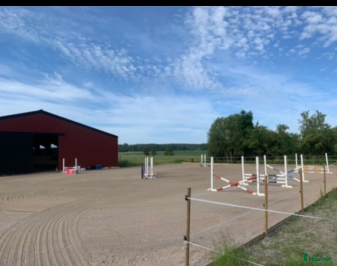  stallplats finnes: Stallplats i Köping - Annons 4