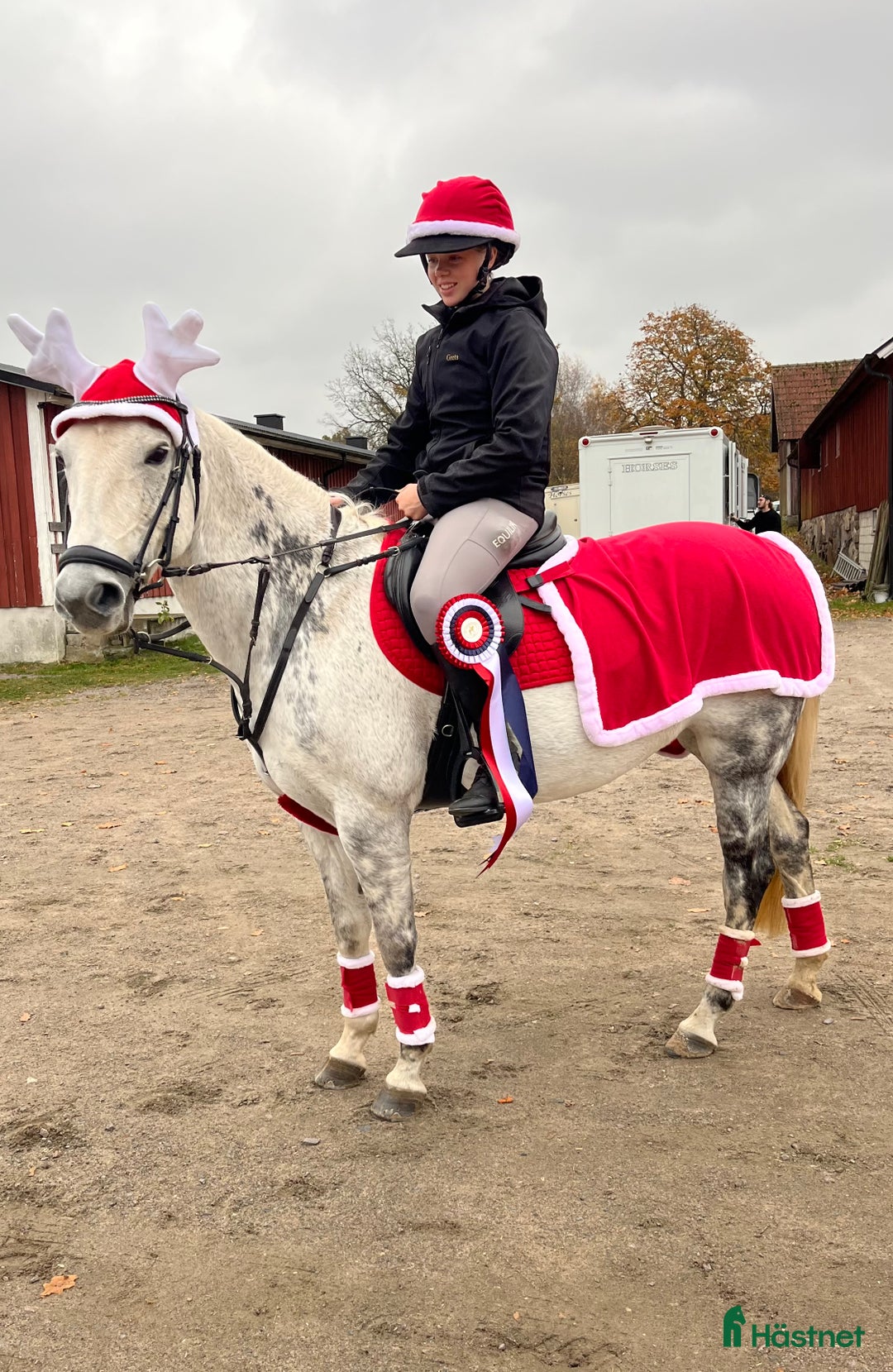 Allround hästar till salu: Snäll D-ponny för ridning och avel! i Broby - Annons 1
