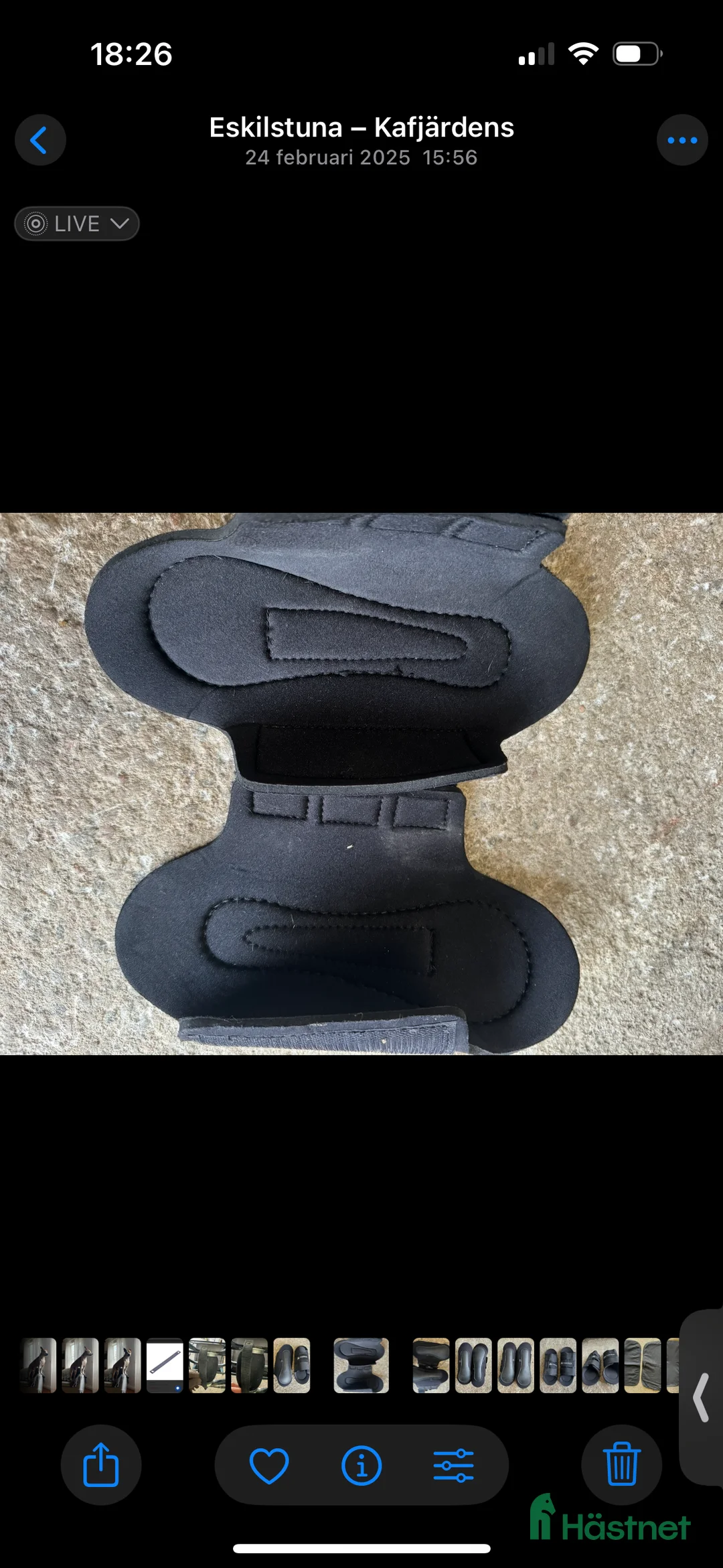 Benskydd hästutrustning till salu: Senskydd Finntack i Eskilstuna - Annons 2