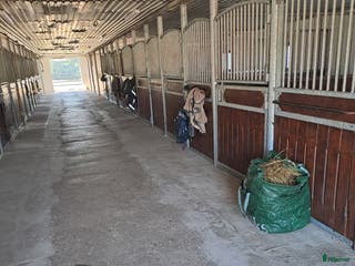 stallplats Boxplats i Sjöbo - Annons 13