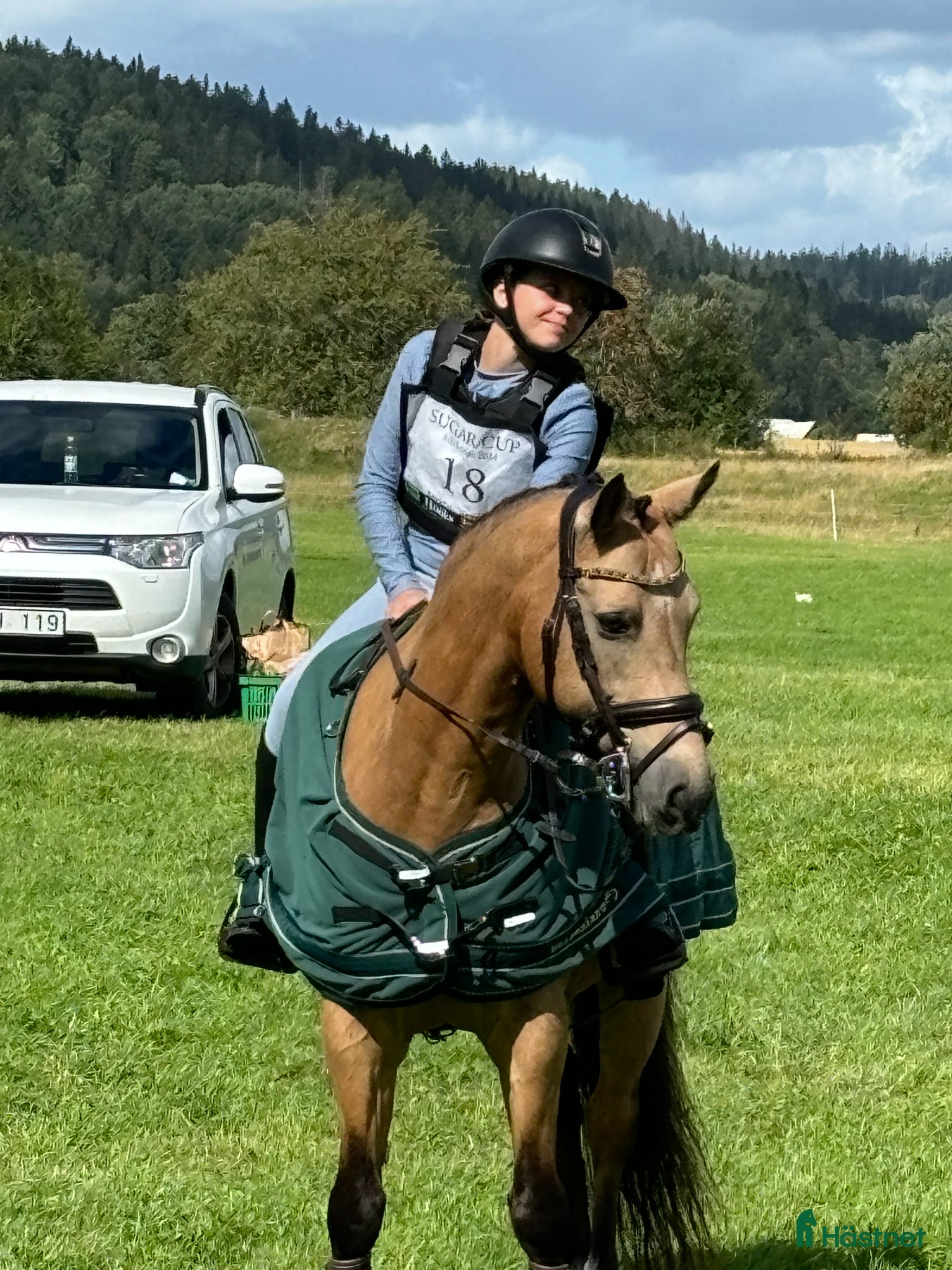  hästar Fantastisk läromästare/förstaponny  - Annons 2