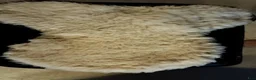 Sadeltillbehör hästutrustning till salu: FÅRSKINSrumpvärmare - Annons 1