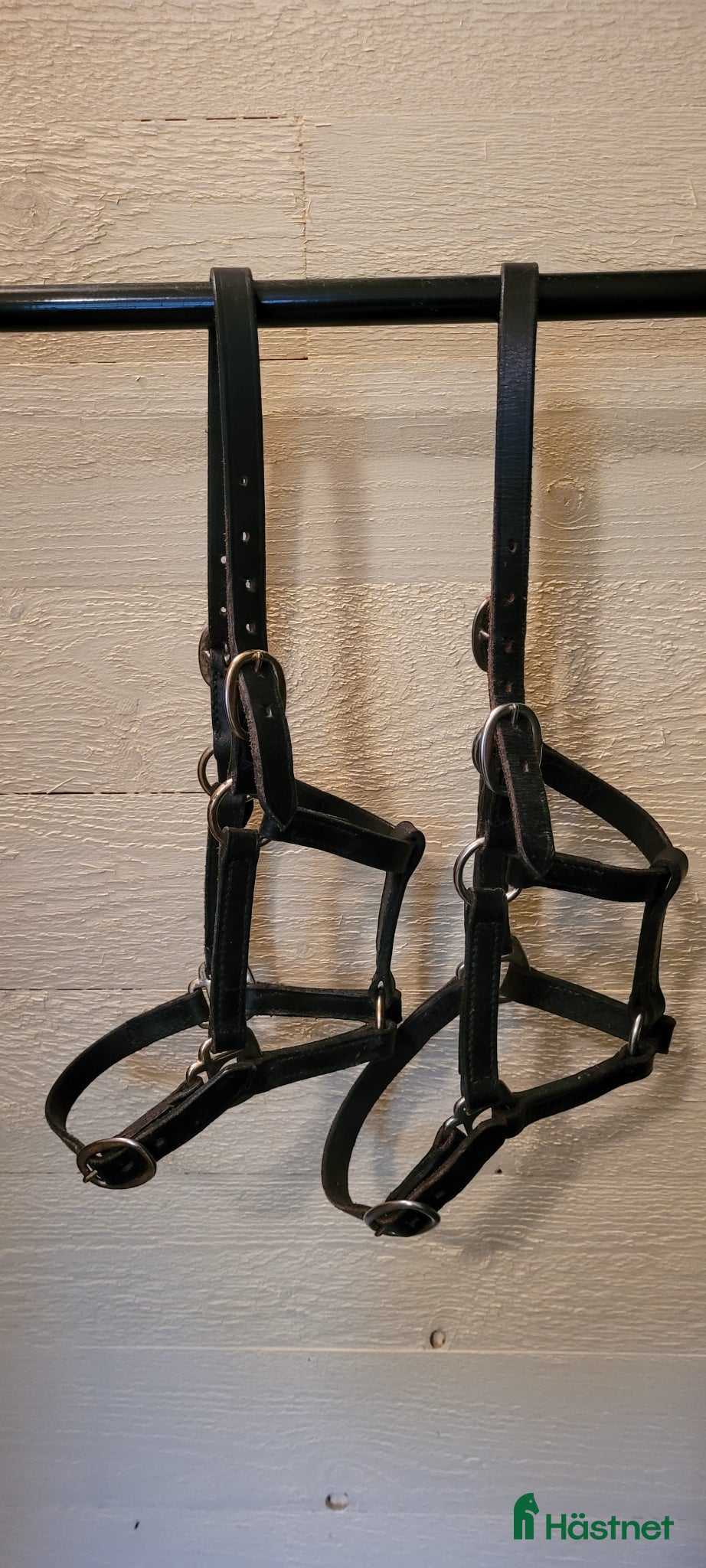 Övrig Travutrustning trav till salu: Grimmor föl, ponny - Annons 4