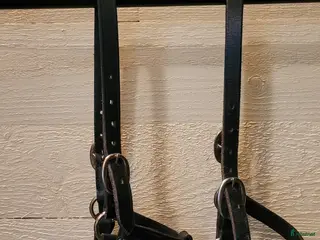 Övrig Travutrustning trav till salu: Grimmor föl, ponny - Annons 4