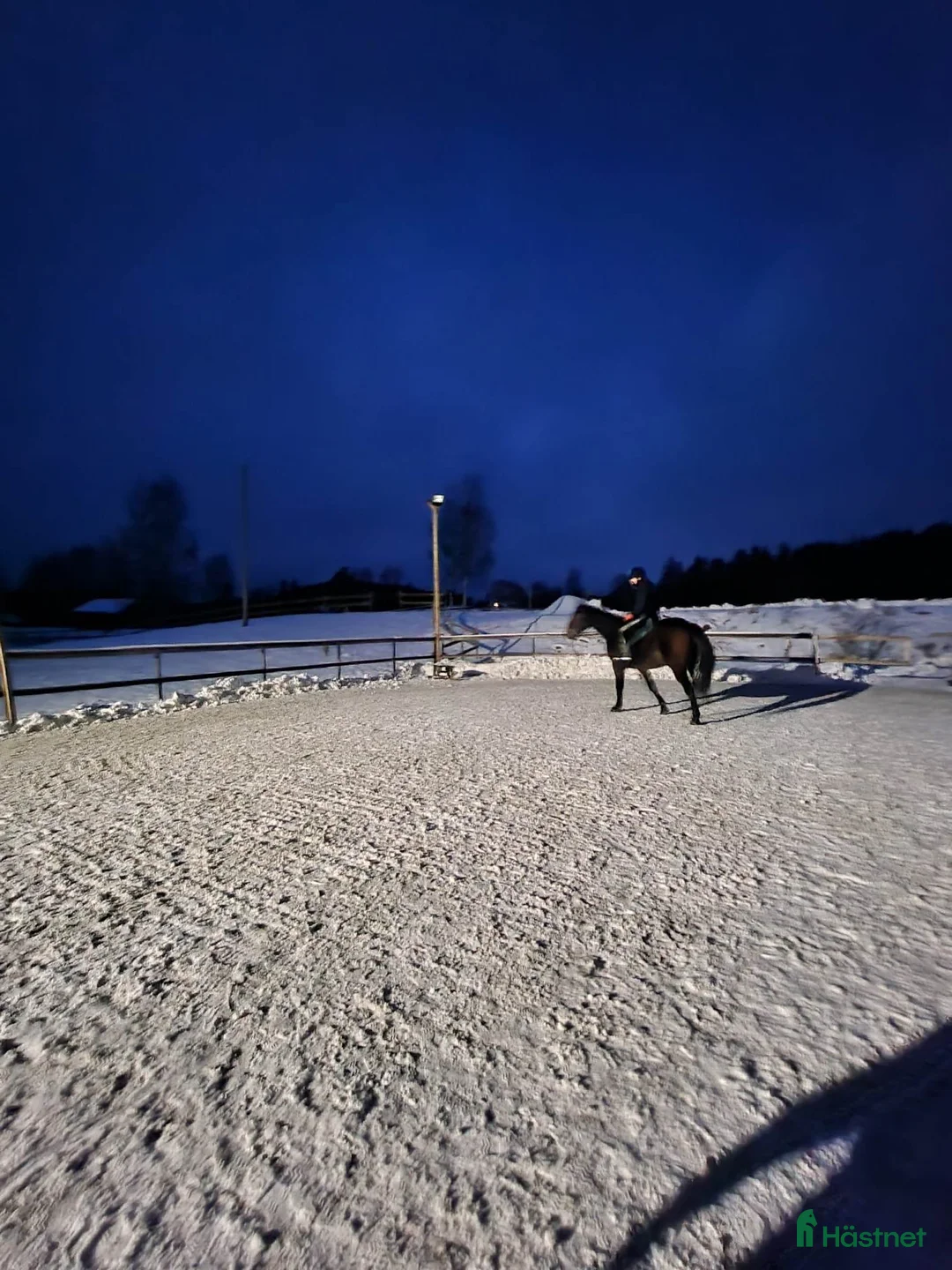  stallplats finnes: Stallplats ledig I Lilla edet - Annons 4