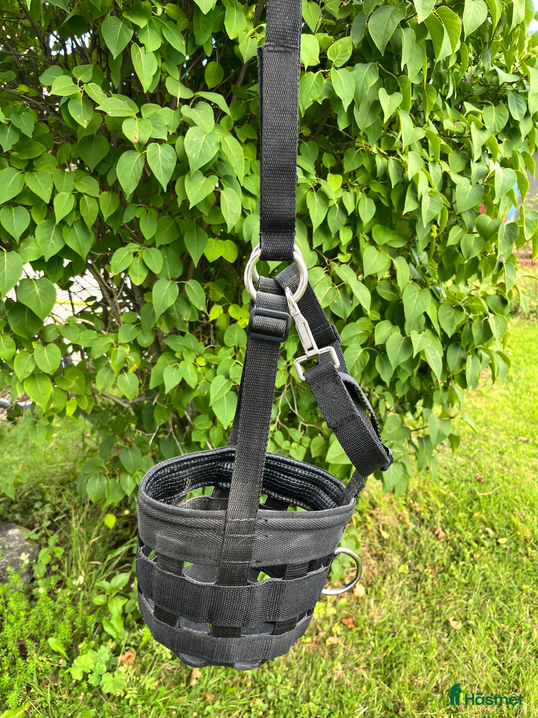 Övrig Hästutrustning hästutrustning till salu: Blandade hästsaker! i Äppelbo - Annons 8