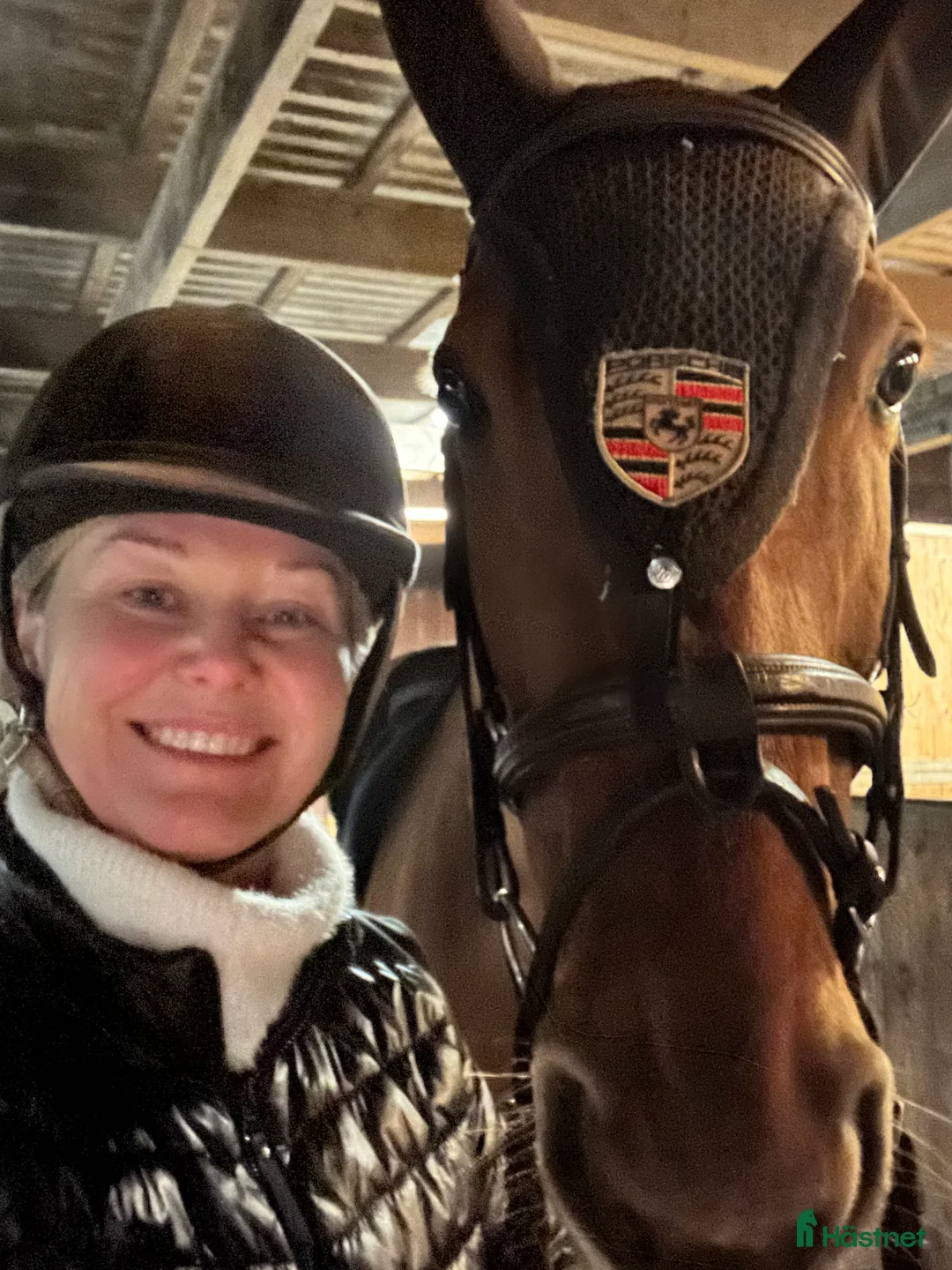 Allround hästar till salu: Fantastisk allroundhäst av lättare typ i Växjö - Annons 3