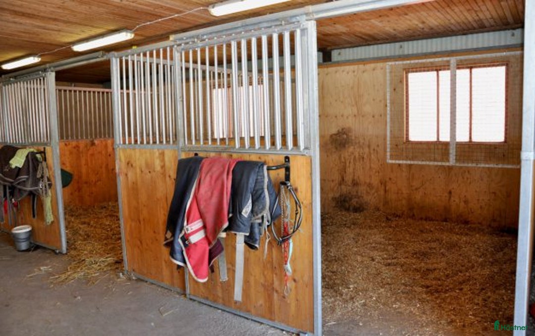  stallplats finnes: Stallplats, hästbox i Bjärred Lilla Bennickan i Bjärred - Annons 10