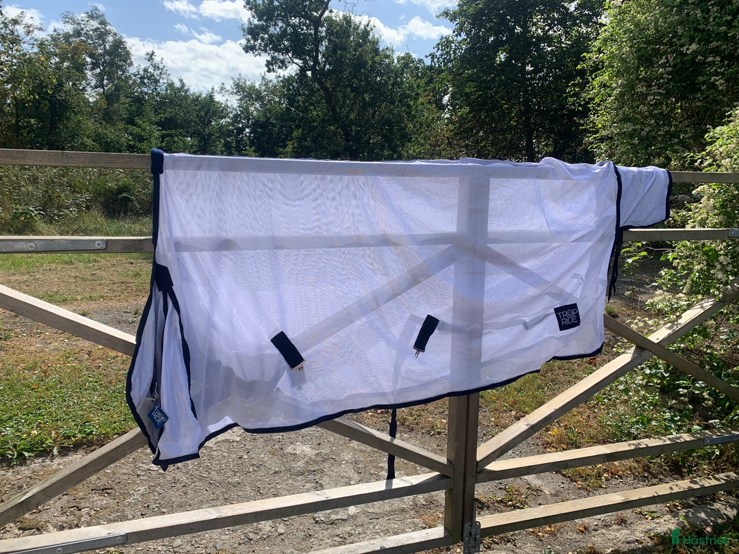 Täcken hästutrustning till salu: Flugtäcke nytt i Sölvesborg - Annons 1