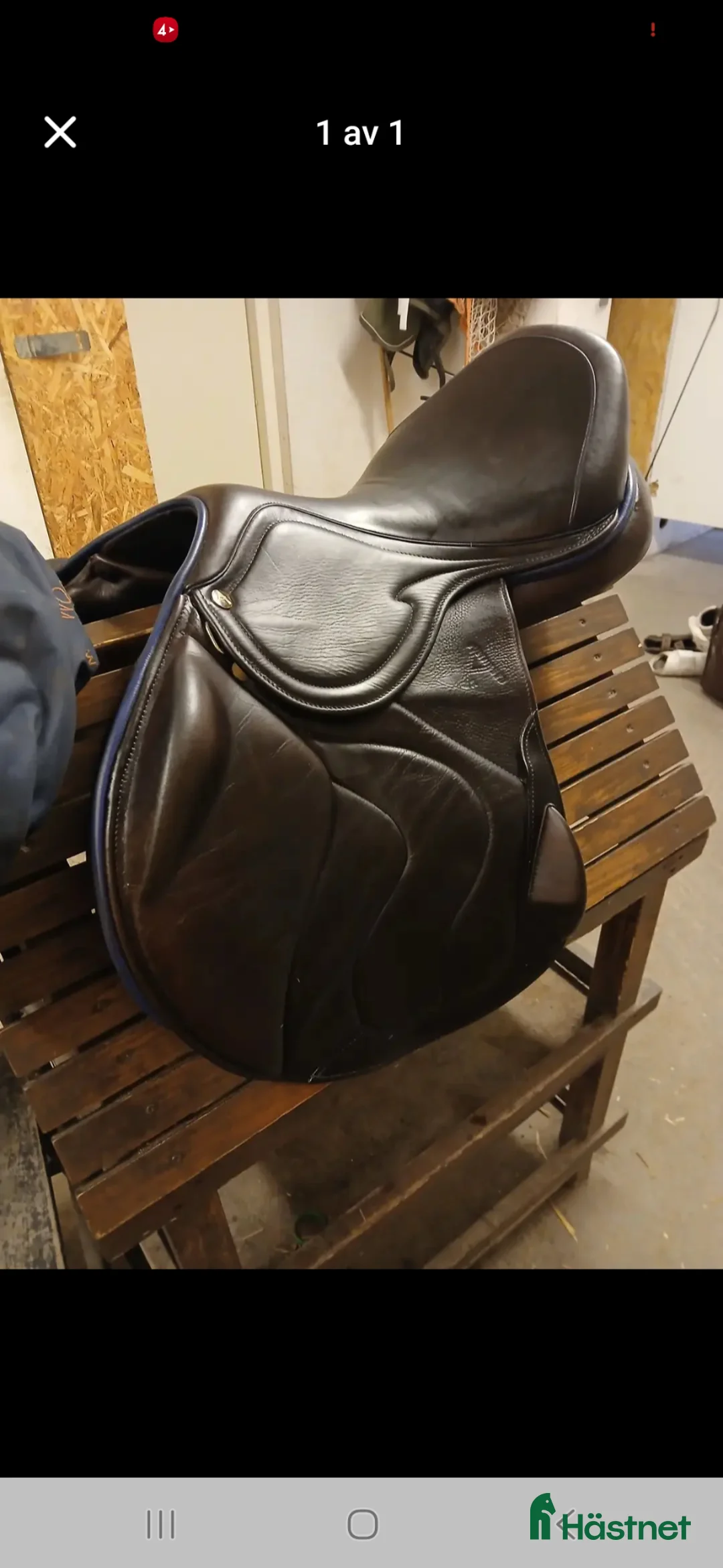 Sadlar hästutrustning till salu: Hoppsadel - Annons 1