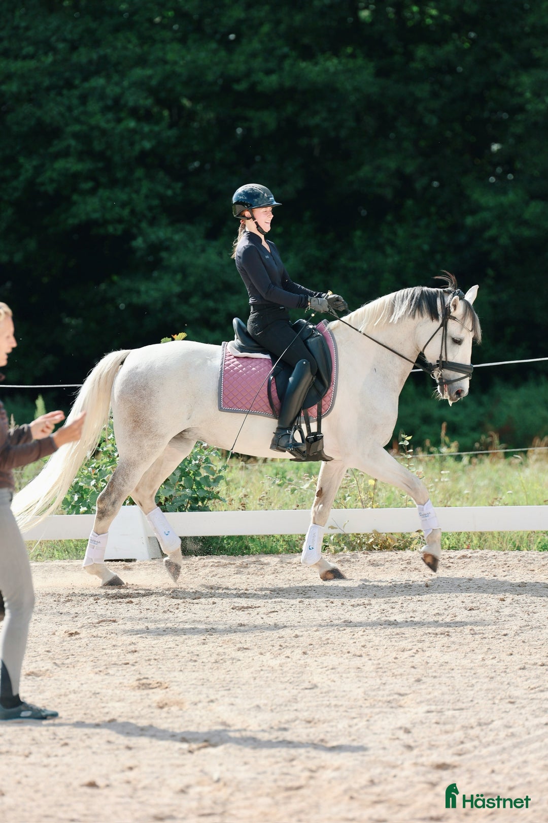 Allround hästar till salu: Läromästare och bästa vän! i Linköping - Annons 1