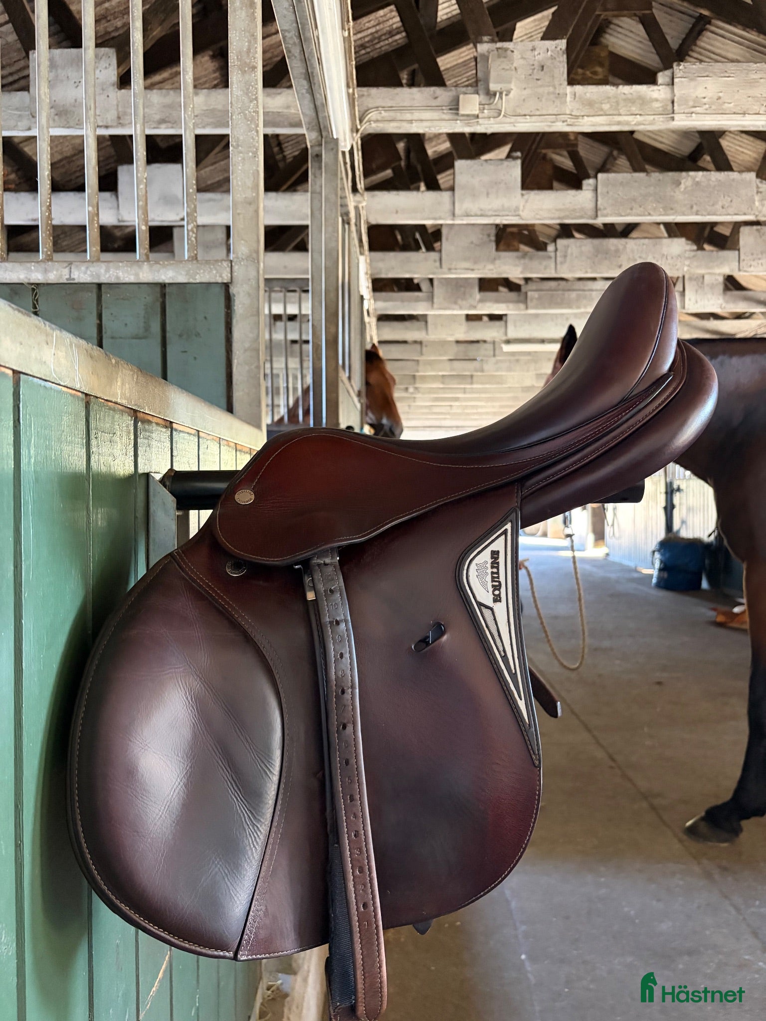 Sadlar hästutrustning Equiline Talent Hoppsadel - Annons 8