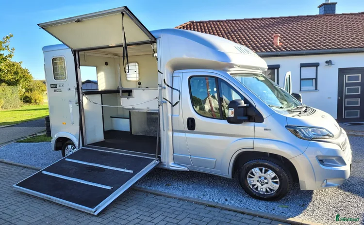 Hästlastbilar  fordon & transport till salu i Gotlands Tofta - Annons 11