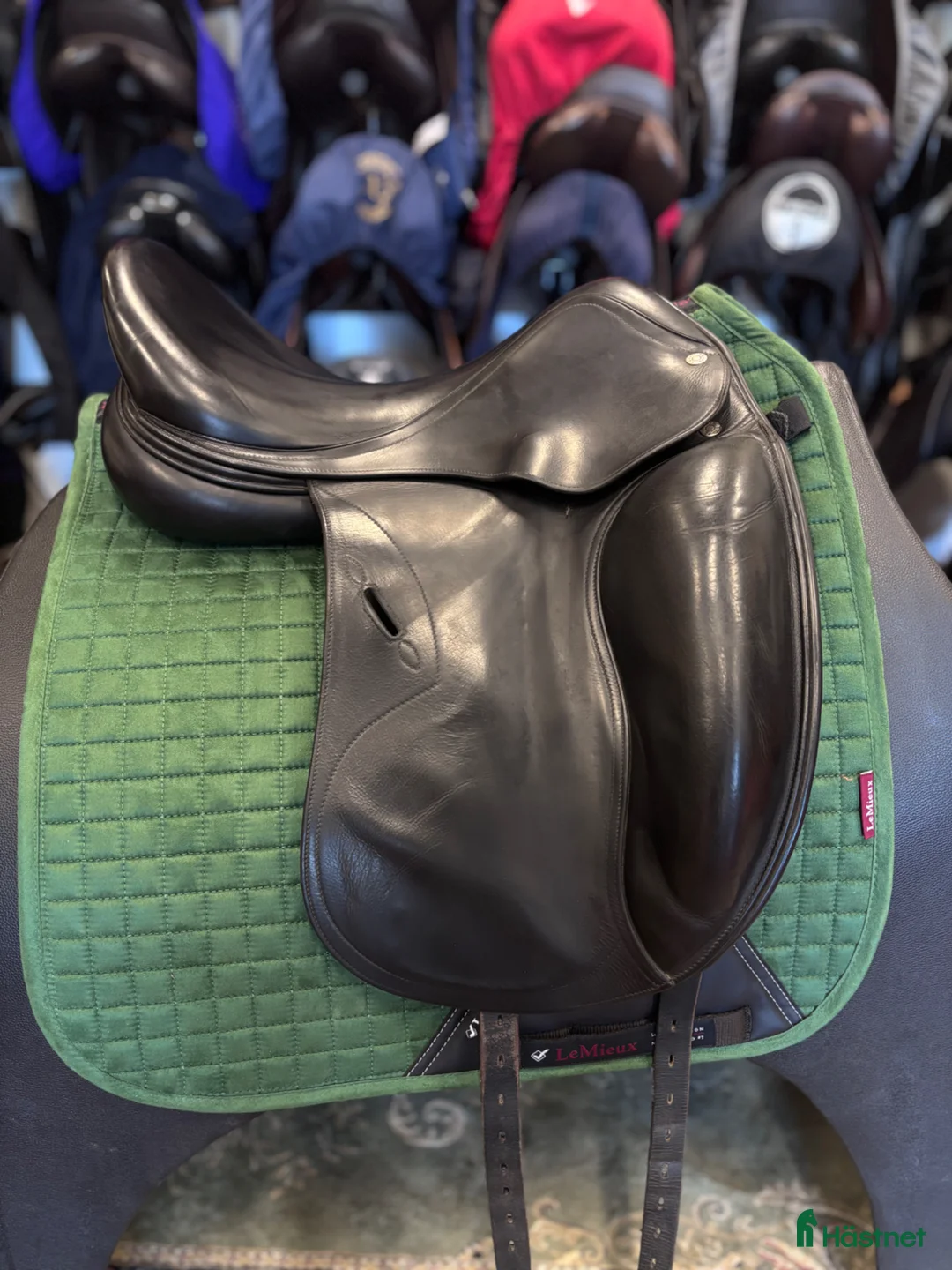 Sadlar hästutrustning till salu: Equipe Oracle ✨ - Annons 2