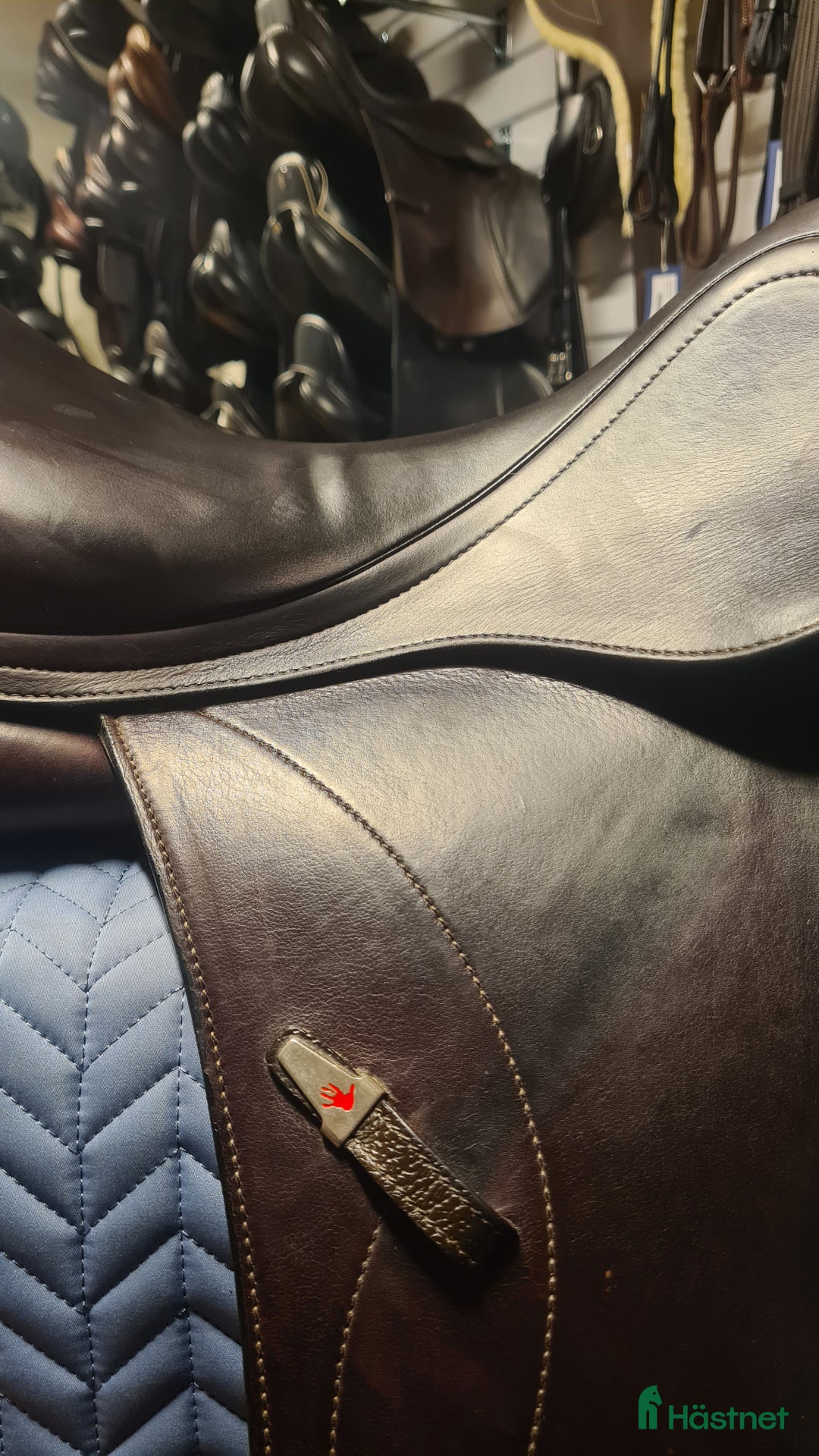 Sadlar hästutrustning till salu: Equipe Olympia i Hamneda - Annons 4