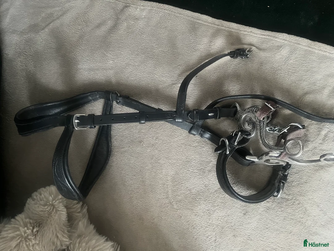 Träns hästutrustning till salu: Frakt ingår Komplett hackamore Taur ,tyglar ingår  - Annons 2