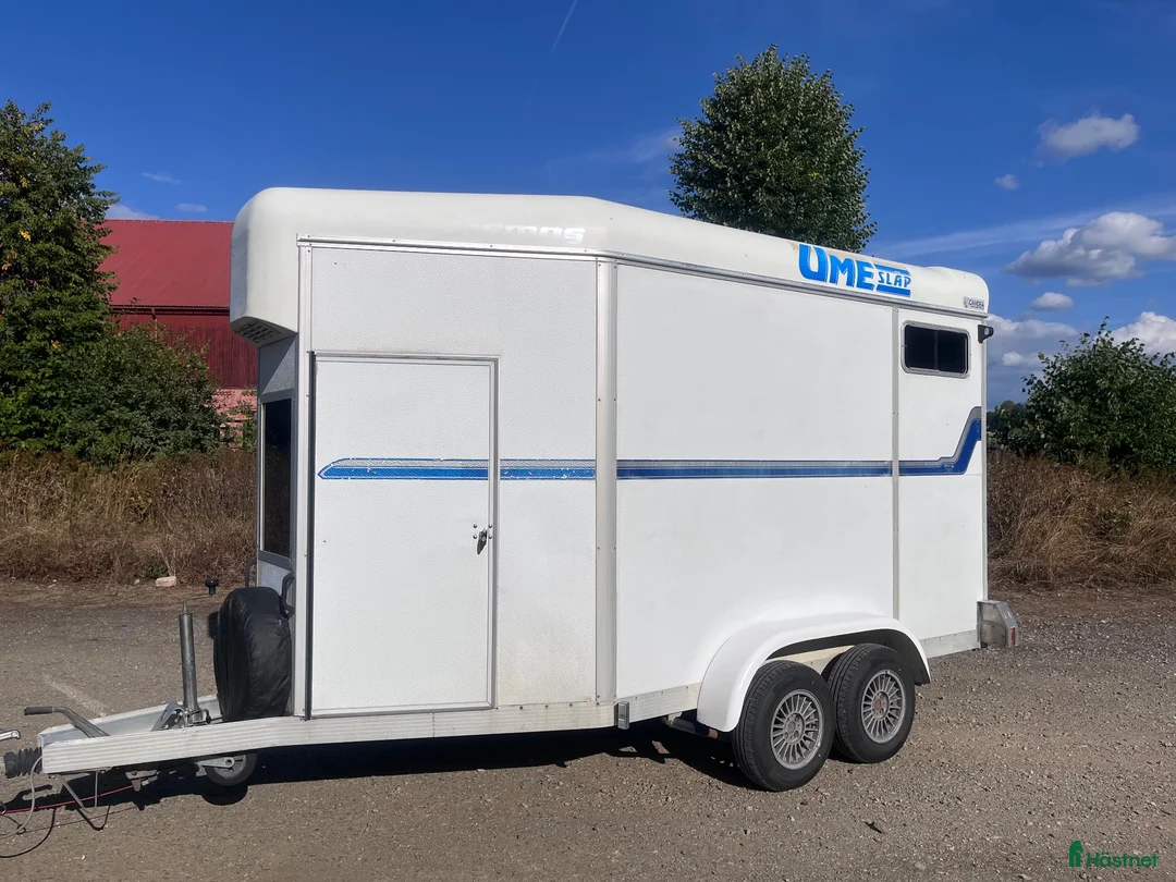 Hästtransporter  fordon & transport till salu: Umesläp B50 baklängesvagn - Annons 2