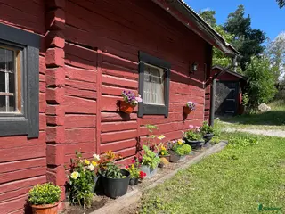 stallplats Ledig boxplats - Annons 8