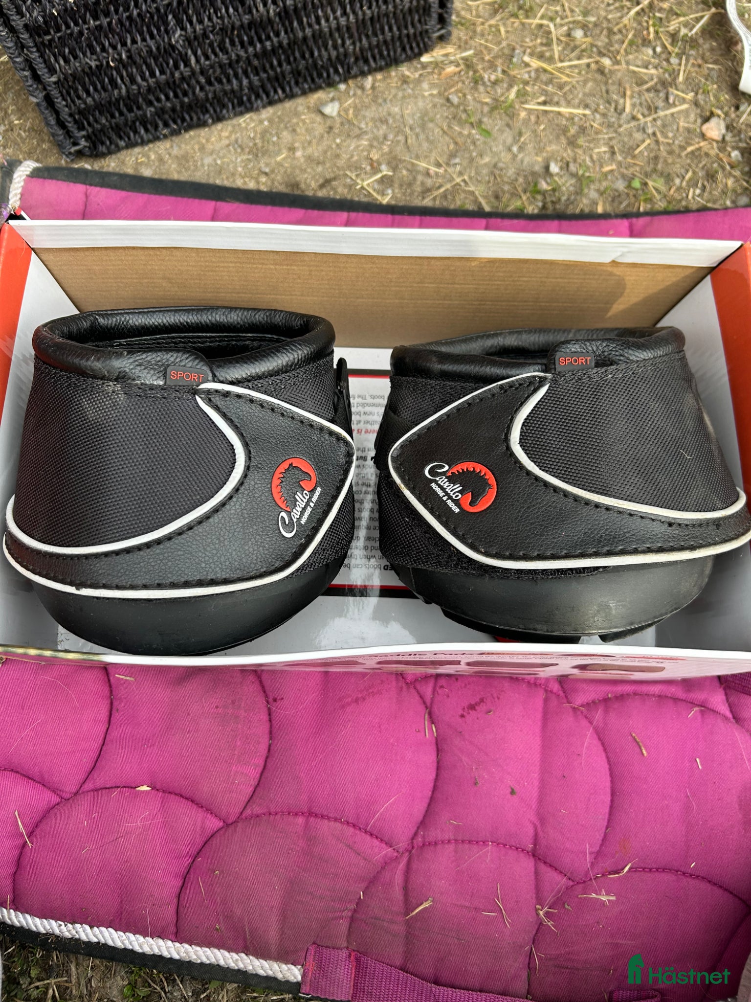 Övrig Hästutrustning hästutrustning till salu: Cavallo sport boot reg storlek 5 - Annons 2