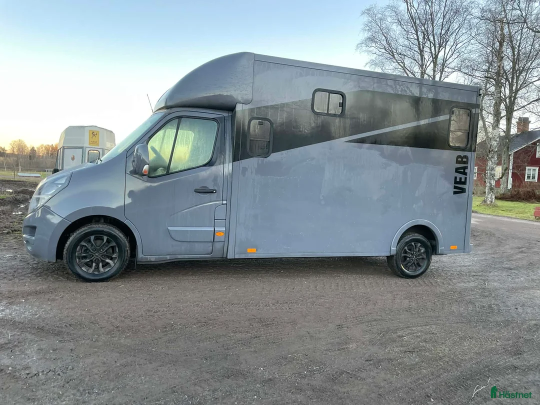 Hästlastbilar  fordon & transport till salu: Stuteri B-kortsbuss meetingmodell  i Falun - Annons 4