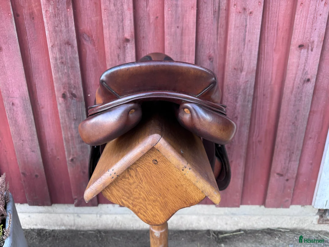 Sadlar hästutrustning till salu: Bruno Delgrange Partition i Mullsjö - Annons 2