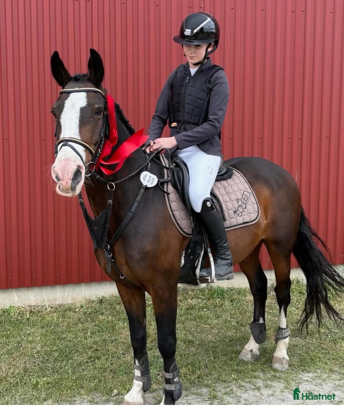 Schabrak & Vojlockar hästutrustning Fint equiline schabrak🌸 - Annons 12