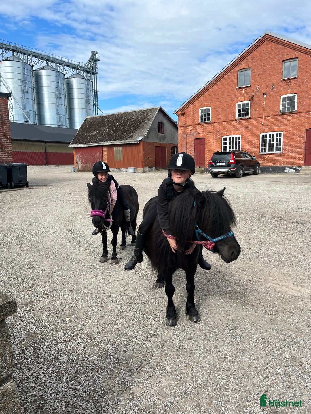 Allround hästar till salu: Barnens bästa vän i Trelleborg - Annons 2