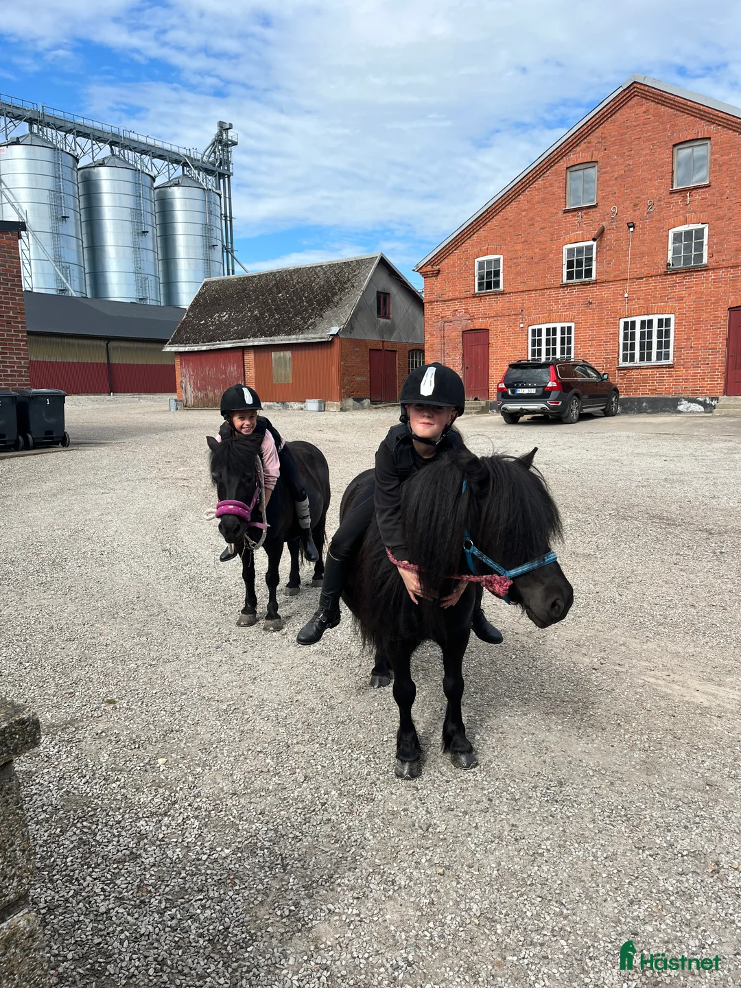 Allround hästar till salu: Barnens bästa vän i Trelleborg - Annons 2