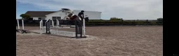 Hoppning hästar till salu: Fantastisk D Ponny  - Annons 3