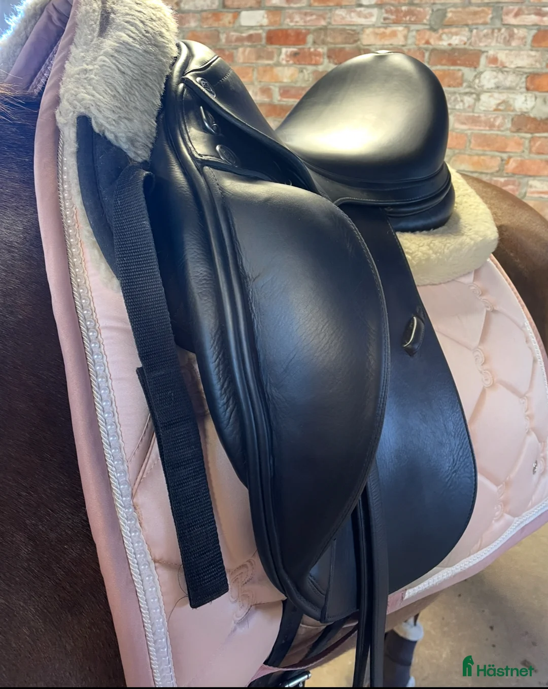 Sadlar hästutrustning till salu: Prestige dressyr i Kumla - Annons 3