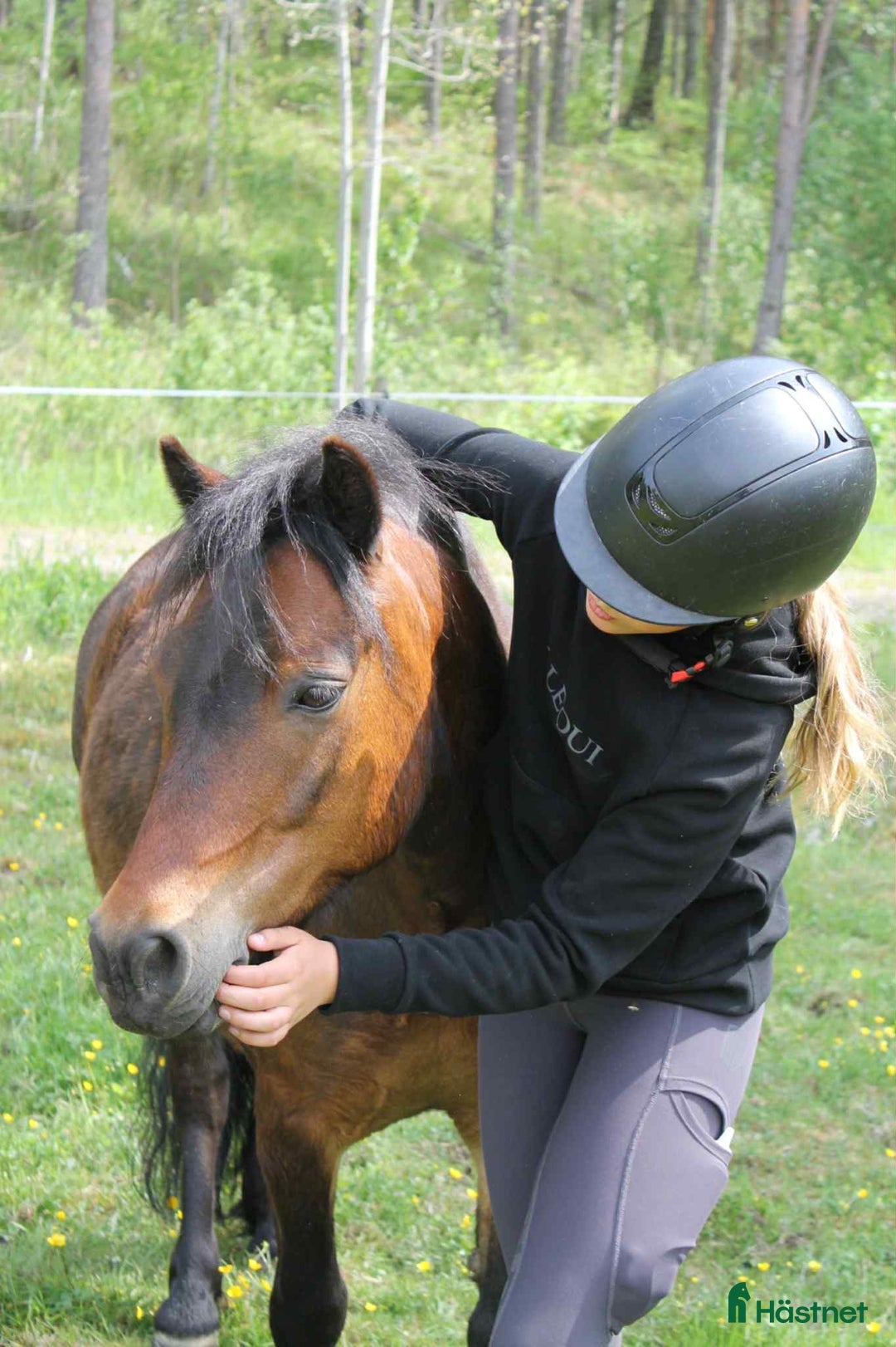 Allround hästar till salu: Snäll dartmoorponny söker nytt hem i Åkersberga - Annons 2