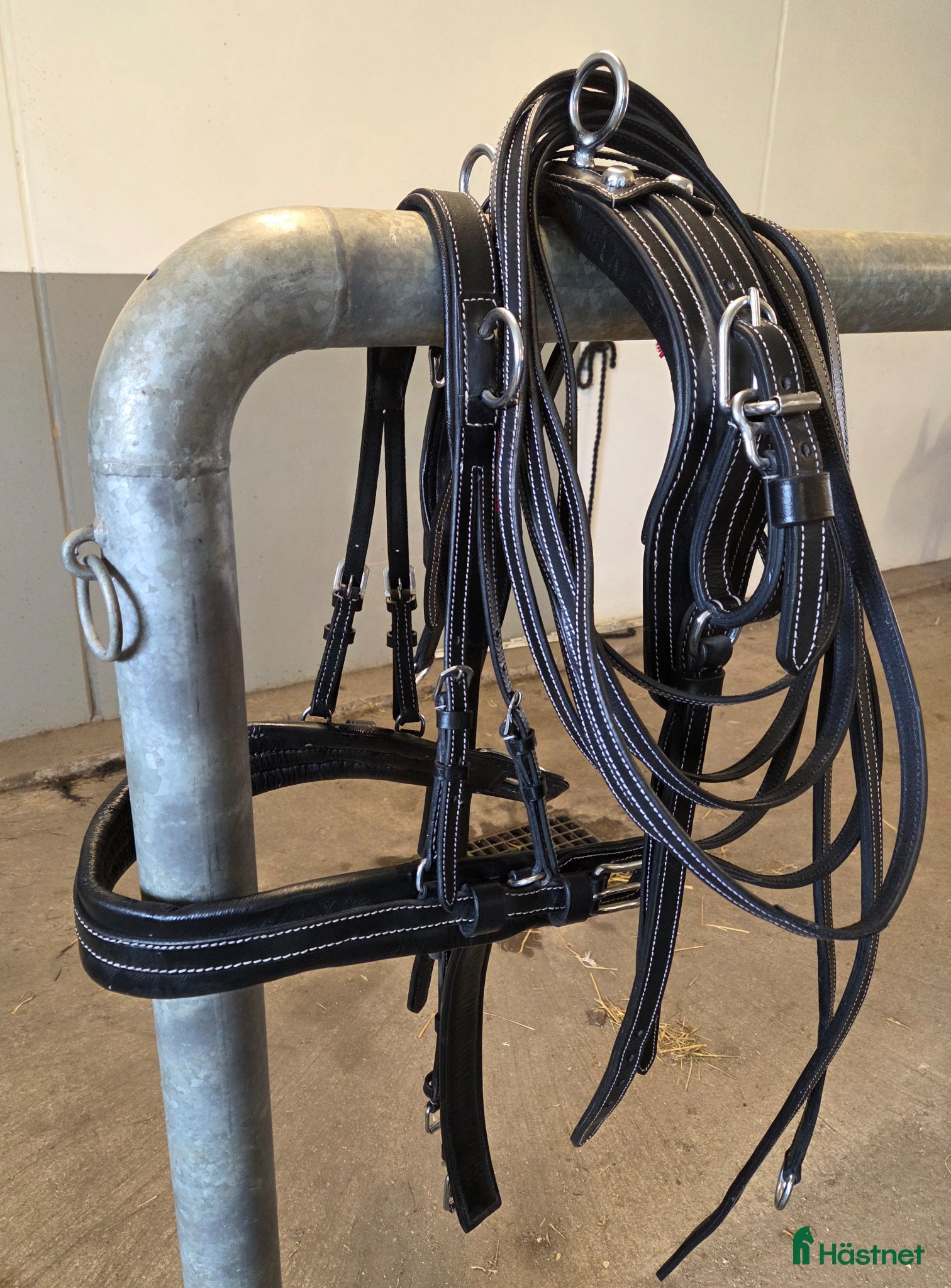 Körselar körning till salu: Sele passande shetland - Annons 2