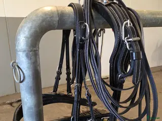 Körselar körning till salu: Sele passande shetland - Annons 2