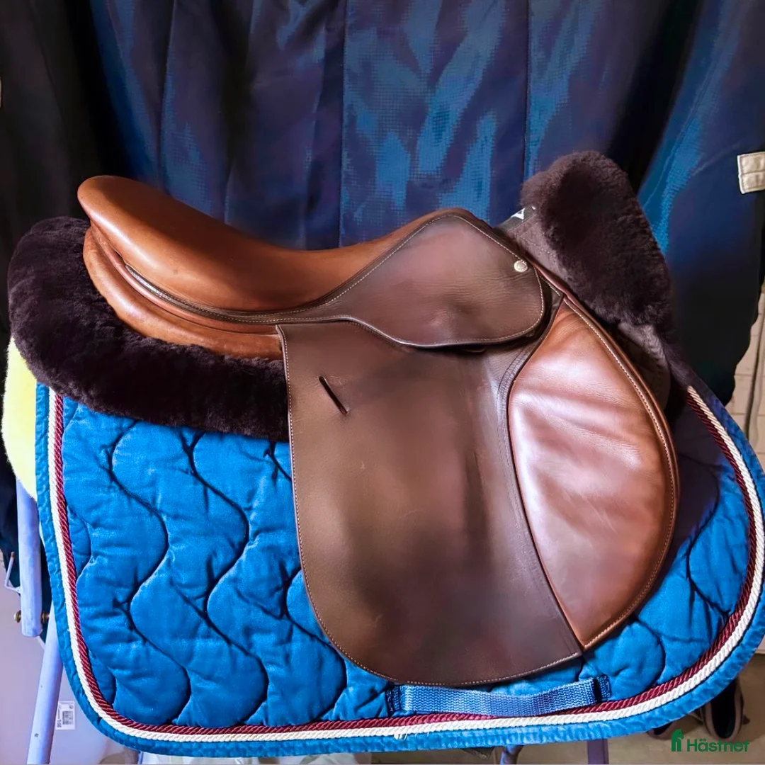 Sadlar hästutrustning till salu: Butet - Annons 1