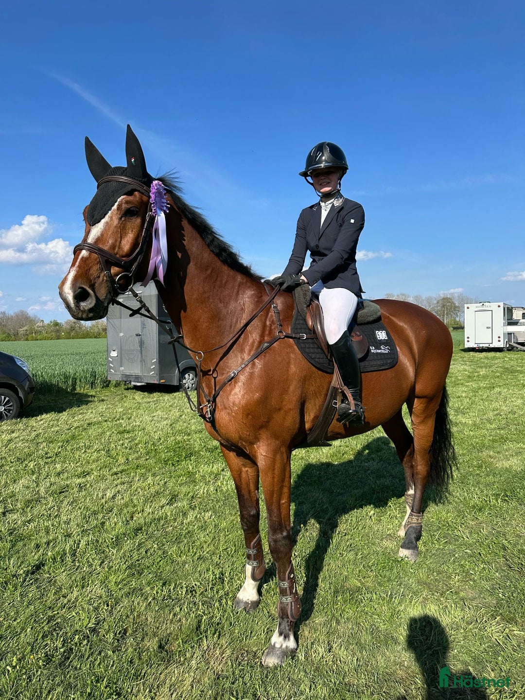 Hoppning hästar till salu: Tränings- och tävlingskompis  i Knäred - Annons 1